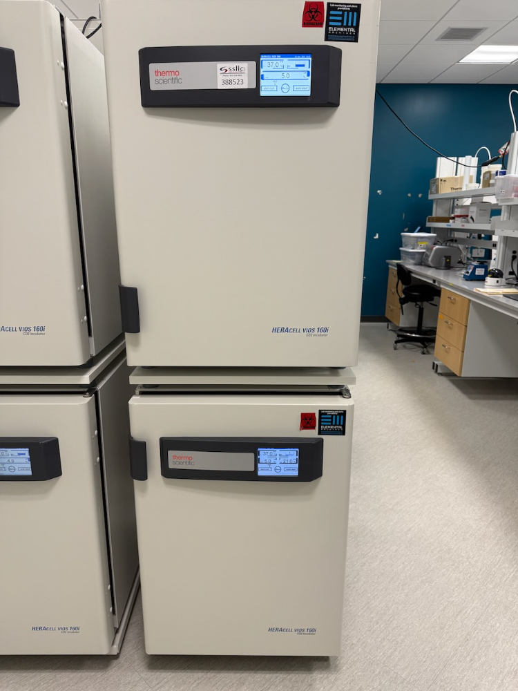 Image of Thermo HERAcell Vios 160i Double Stack CO2 Incubator